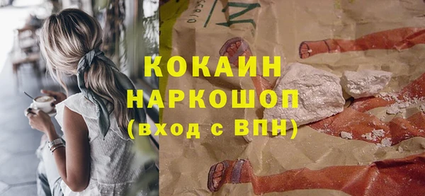 гидра Алексин
