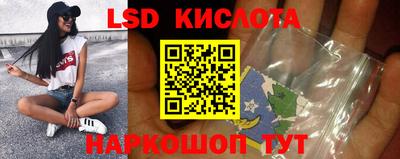 СК Рыбинск