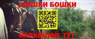 СК Рыбинск