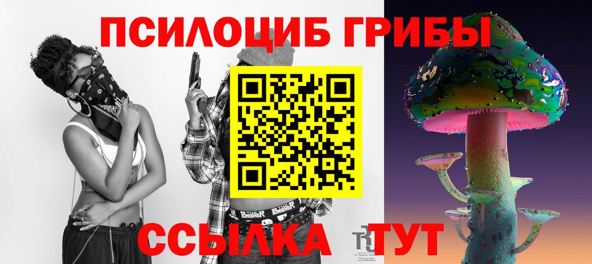 Галлюциногенные грибы Psilocybe  Вход с VPN  Тверь 