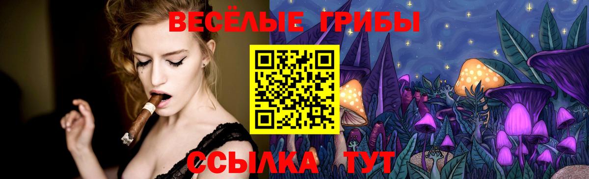 Псилоцибиновые грибы Magic Shrooms Тверь